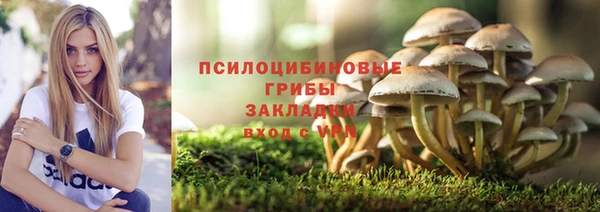 МДПВ Армянск