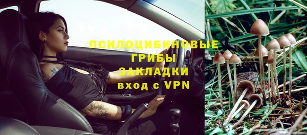МДПВ Армянск