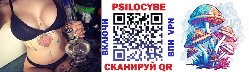 где купить Белогорск Псилоцибиновые грибы MAGIC MUSHROOMS