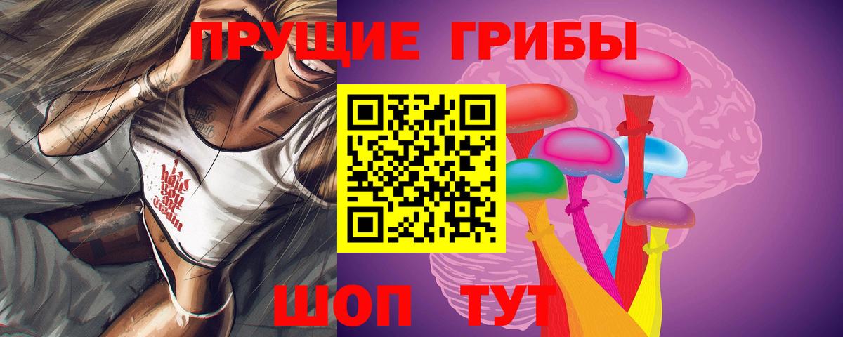 Псилоцибиновые грибы Psilocybine cubensis  Вход с VPN  Белогорск  Галлюциногенные грибы мицелий 