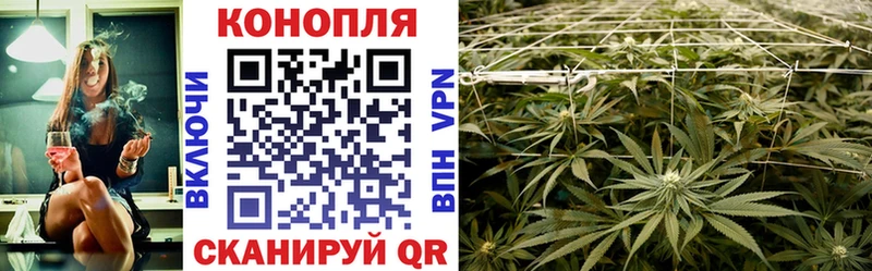 хочу наркоту  Белогорск  Канабис конопля 